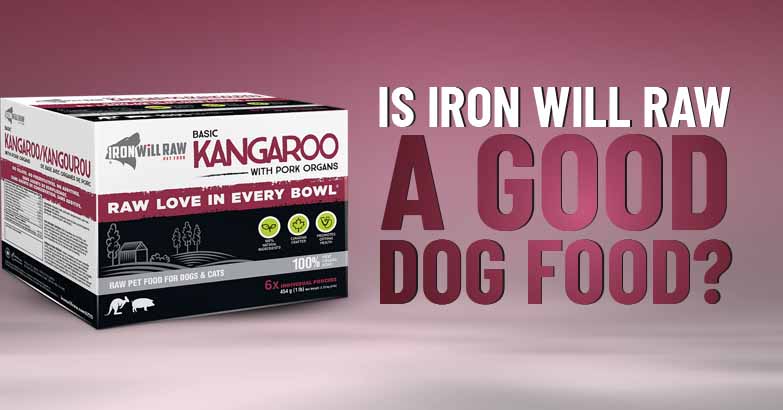 iron-will-raw-dog-food-review - Dogs Naturally iron will raw dog food review
